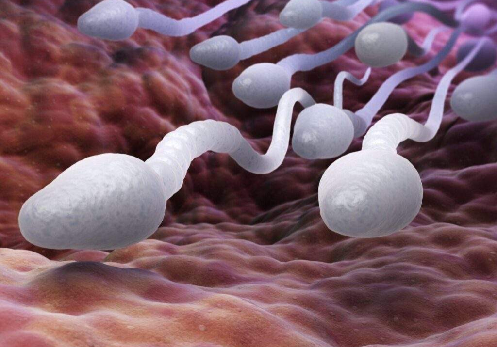 62262 infertility men responsible for 60 per cent expert bares it all