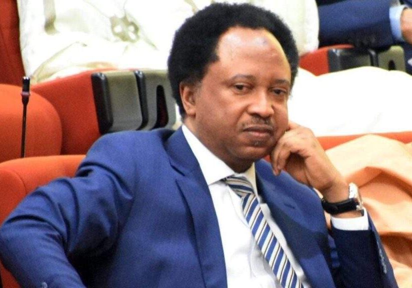 63781 buhari wasted more money on security failed to secure nigeria shehu sani alleges
