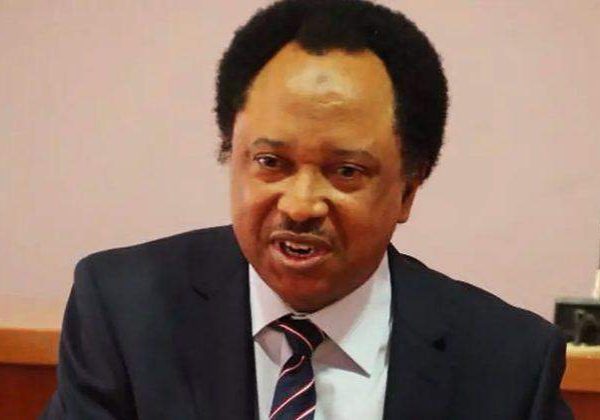 65981 former lawmaker shehu sani defends senator kashim shettimas double nomination