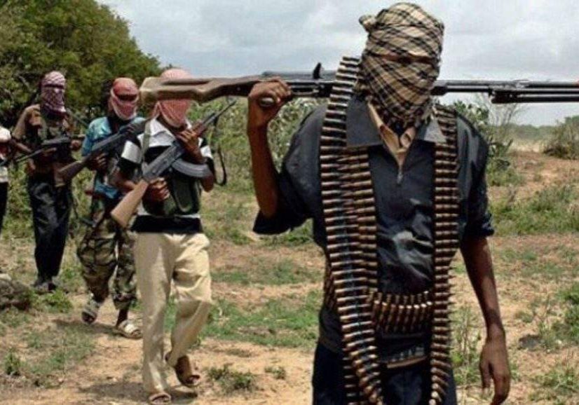 66259 remaining kidnapped students of fgc birnin yauri released by bandits