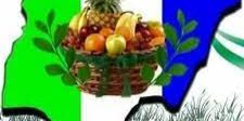 66790 ogun nnpp appeals tribunals ruling 66790 ogun nnpp appeals tribunals ruling
