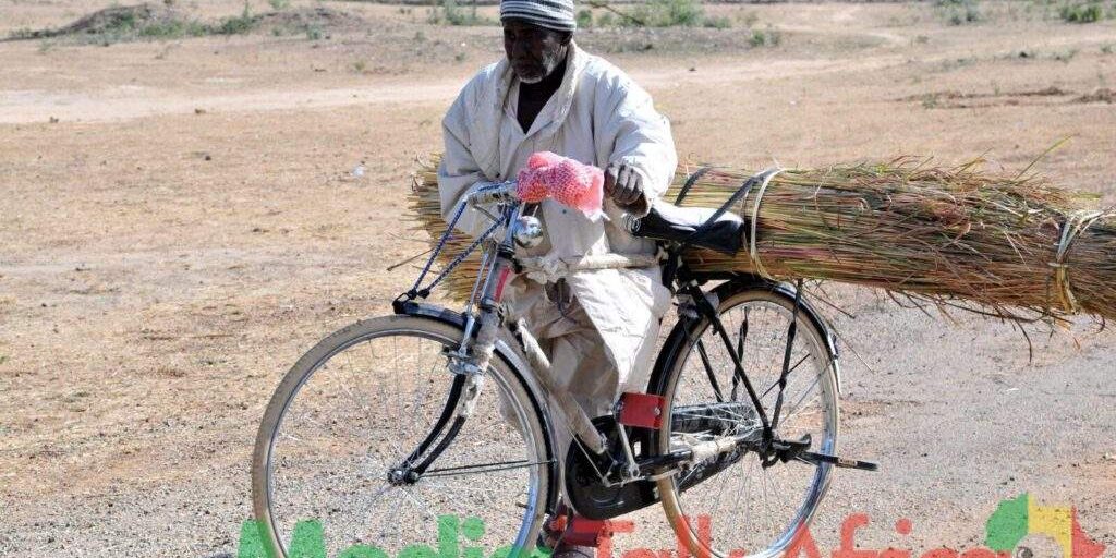 70338 frsc urges nigerians to embrace cycling on world bicycle day 70338 frsc urges nigerians to embrace cycling on world bicycle day