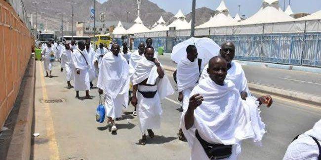 70370 ogun airlifts 1236 pilgrims to saudi arabia 70370 ogun airlifts 1236 pilgrims to saudi arabia