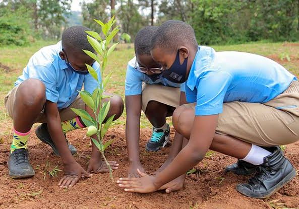74202 african child day students empowered with eco friendly education 74202 african child day students empowered with eco friendly education