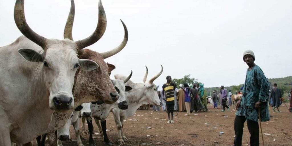 74690 police force foils terrorist threats recovers stolen livestock in katsina