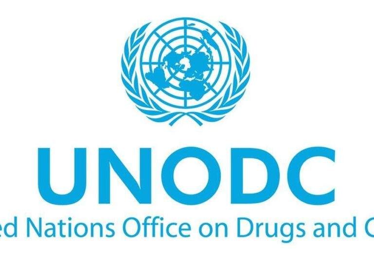 76009 alarming increase in drug abuse prompting mental illness cases to triple experts warn 76009 alarming increase in drug abuse prompting mental illness cases to triple experts warn