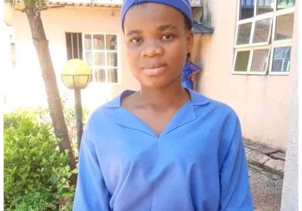 78047 anambra government initiates probe into mmesoma ejikemes controversial jamb result 78047 anambra government initiates probe into mmesoma ejikemes controversial jamb result