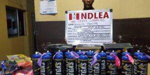 82253 ndlea intercepts 64863kg laughing gas consignments at lagos imo ports 82253 ndlea intercepts 64863kg laughing gas consignments at lagos imo ports