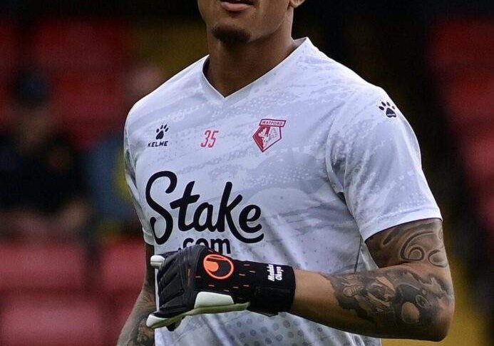 83087 transfer okoye to join serie a club udinese on loan 83087 transfer okoye to join serie a club udinese on loan
