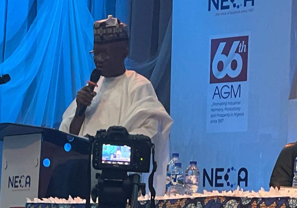 83627 aremu urges governments employers to emulate ilo decent agenda like nelson mandela