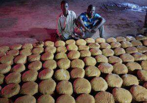 83831 nigerian army intercepts truckload of indian hemp belonging to international syndicate