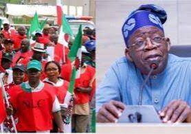 88497 strike nigerian government appeals to labour to shelve action 88497 strike nigerian government appeals to labour to shelve action
