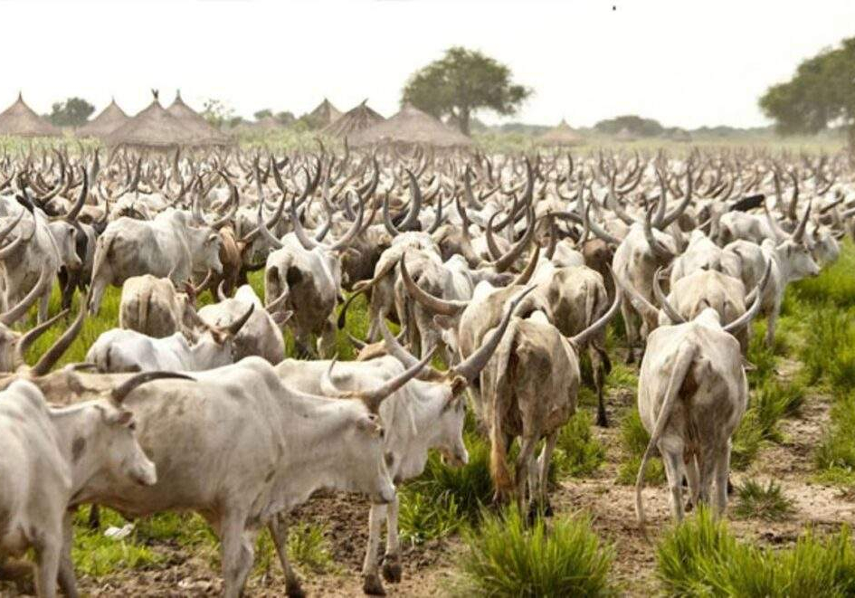 89925 experts attribute anthrax diseases to wrong feedings of animals 89925 experts attribute anthrax diseases to wrong feedings of animals