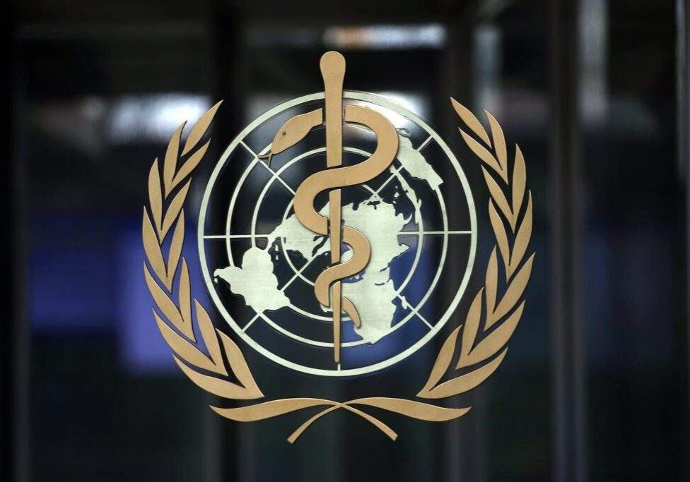 9065 who to establish new council to develop tuberculosis vaccine