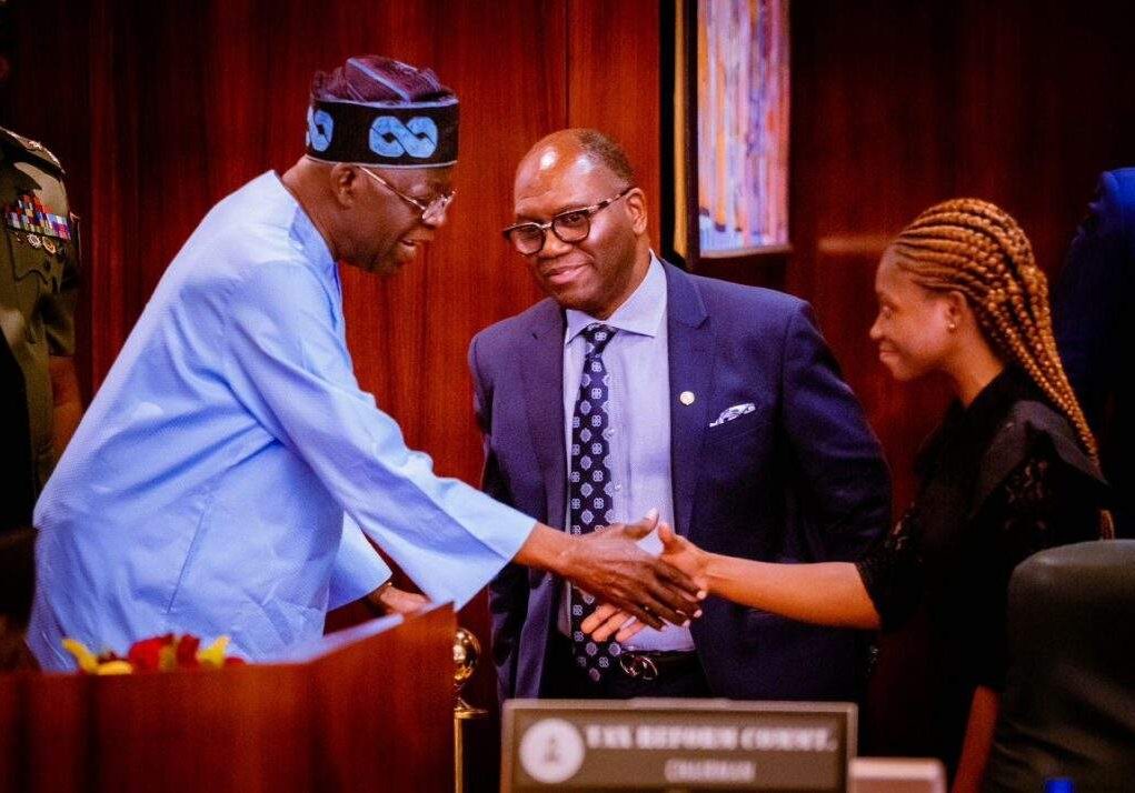 91047 tinubu appoints ui 400 level student into tax reforms committee