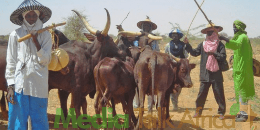 91699 coup review your military threat sanctions against niger 792 fulani group tells ecowas 91699 coup review your military threat sanctions against niger 792 fulani group tells ecowas