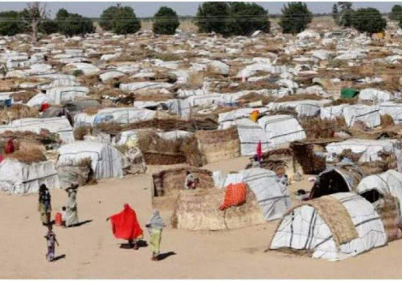 95055 insecurity in nigeria over 3 5 million displaced 37 aid workers killed un reveals 95055 insecurity in nigeria over 3 5 million displaced 37 aid workers killed un reveals