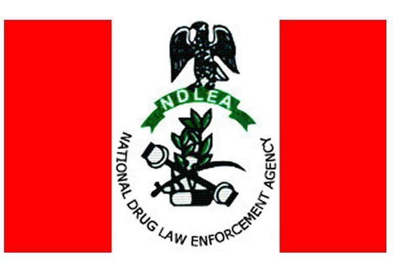 96072 war against drug abuse ndlea to partner with tertiary institutions 96072 war against drug abuse ndlea to partner with tertiary institutions