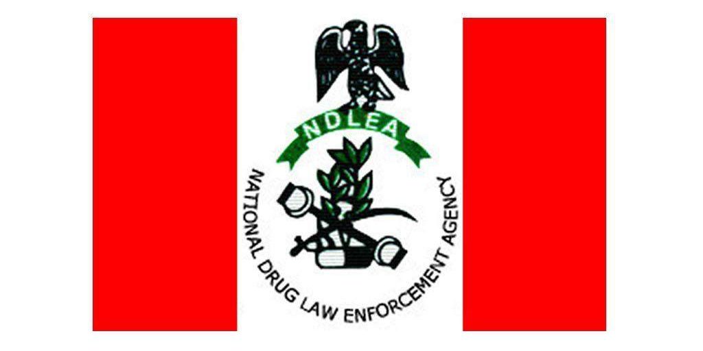 96072 war against drug abuse ndlea to partner with tertiary institutions 96072 war against drug abuse ndlea to partner with tertiary institutions