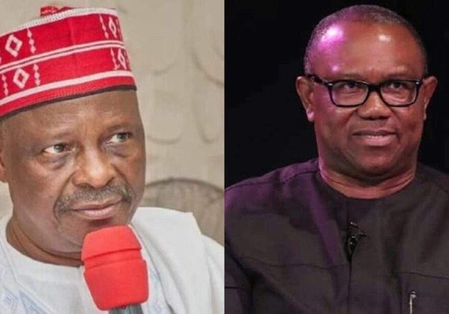 9685 2023 im a phd holder not trader kwankwaso mocks peter obi