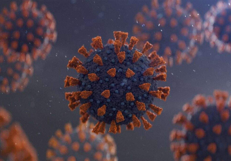 98196 ncdc assures no existence of new covid 19 variants in nigeria 98196 ncdc assures no existence of new covid 19 variants in nigeria
