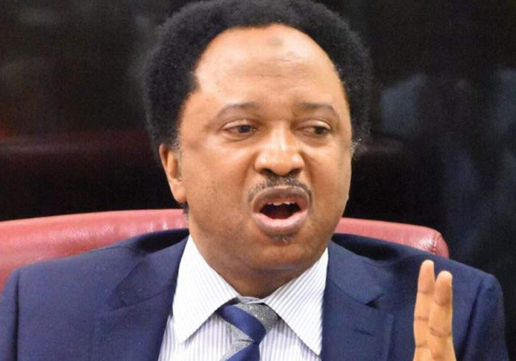 99824 poisoned elections responsible for death of democracy in africa shehu sani 99824 poisoned elections responsible for death of democracy in africa shehu sani