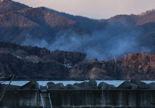 AFP__20250227__36YR66L__v1__Preview__JapanWeatherFireNature.jpg
