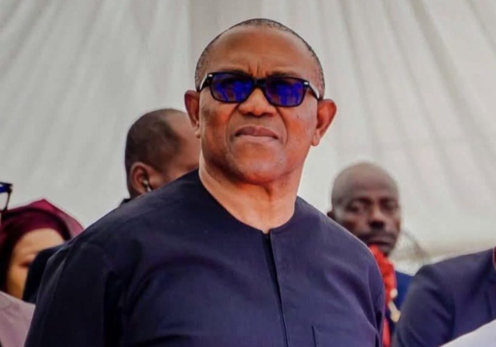 Complainer-in-chief': Lagos APC blasts Peter Obi over Tinubu vacation remarks