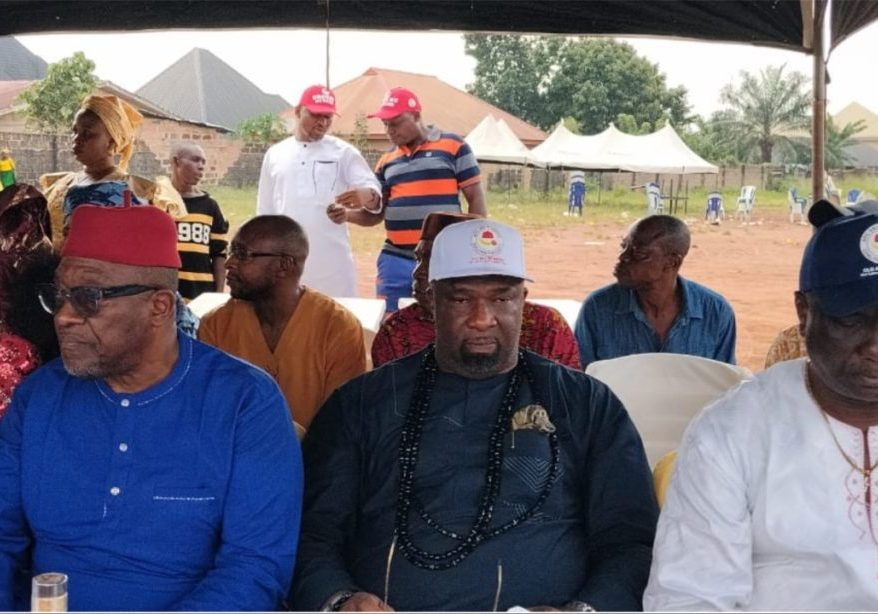 We are excluded from key decision-making, appointments in Delta - APC coalition