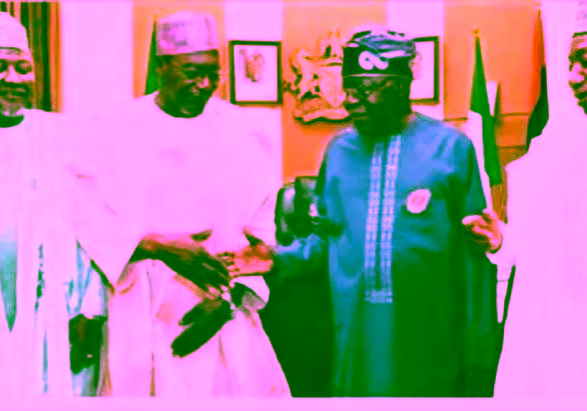 APC Expects Three PDP Senators from Kebbi to Defect to Kebbi PDP Senators meet Tinubu, set to decamp to APC — Daily Nigerian