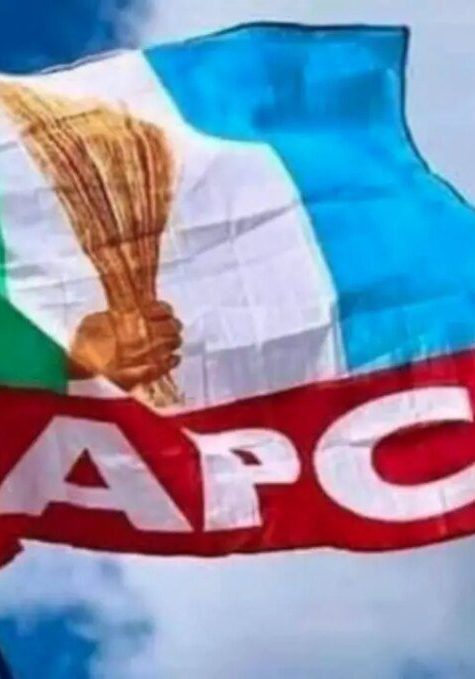 APC-Flag1-.jpg