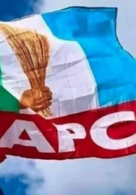 APC: North-Central demands position of National Chairman