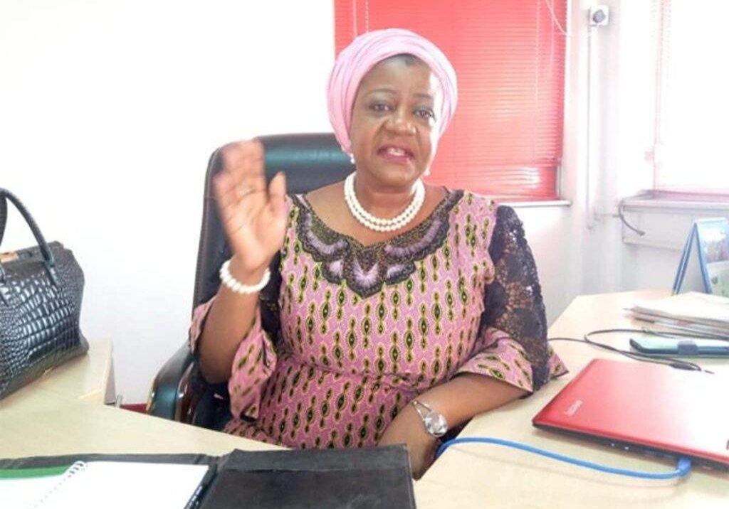 APC hijacked Buharis ex aide Onochie alleges PDP agents destroying