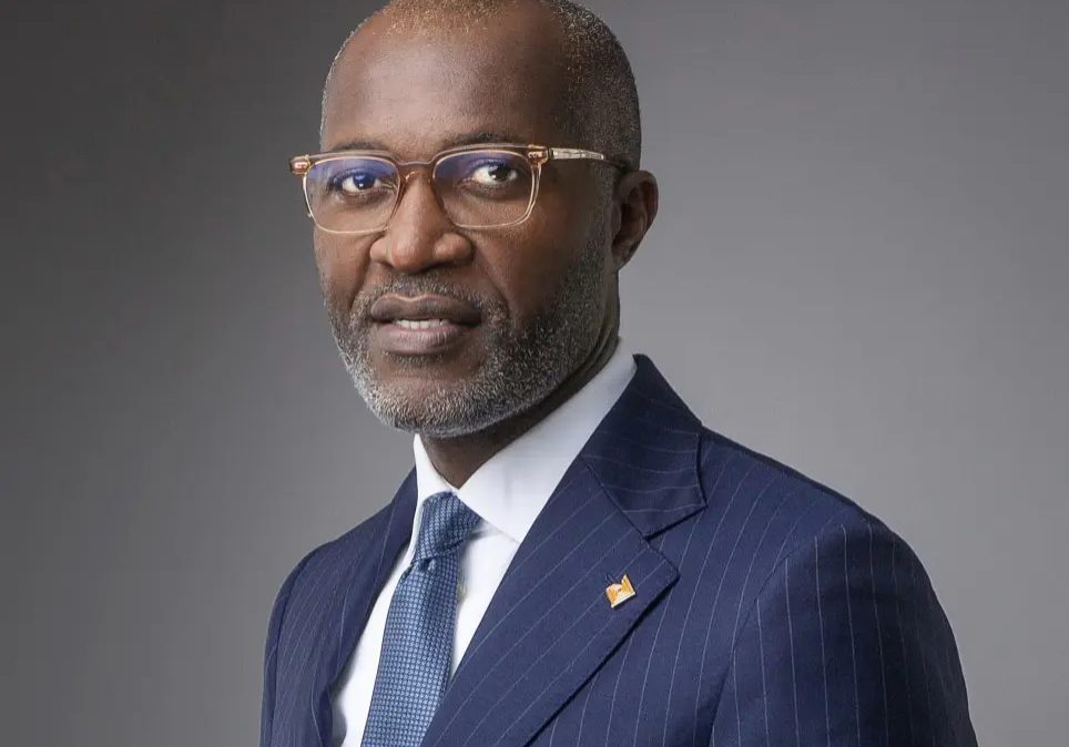 Access Bank CEO Roosevelt Ogbonna resigns as director Why Roosevelt Ogbonna resigned as Executive Director of Access Holdings