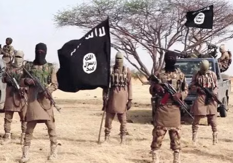 Adamawa: Boko Haram hit Hong again, destroy facilities, hoist flags