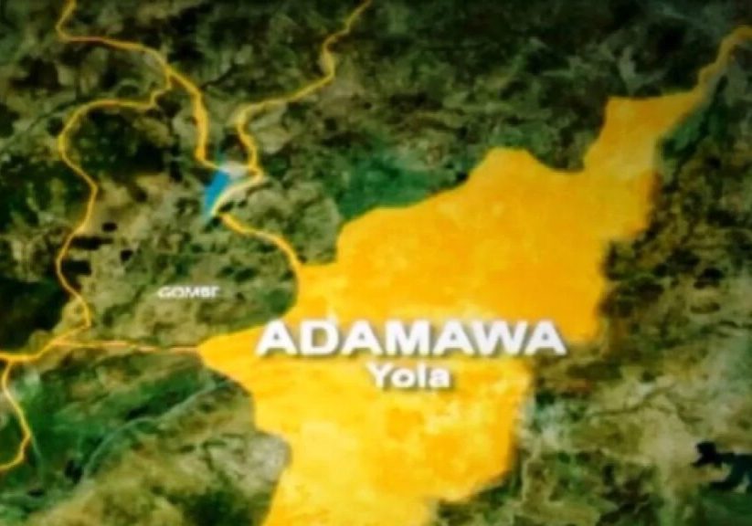 Adamawa Govt moves to connect LGAs to internet