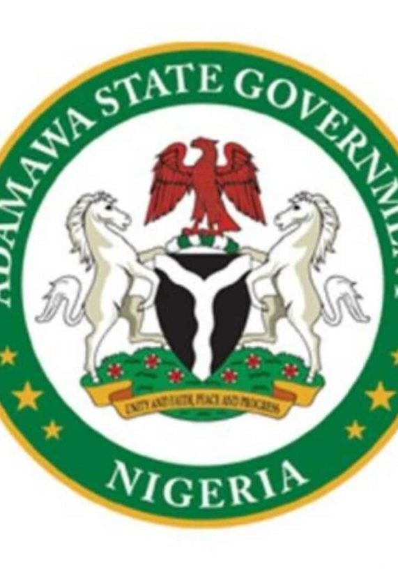 Adamawa set to train 10,000 youths on welding, catering, other skills