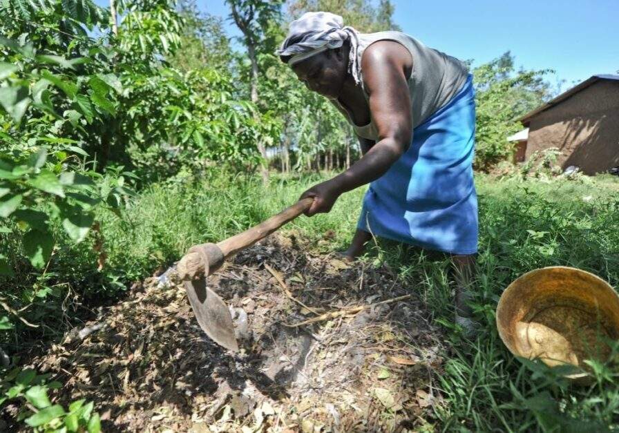 Africa Catalyzing Climate Resilient Agriculture in Africa