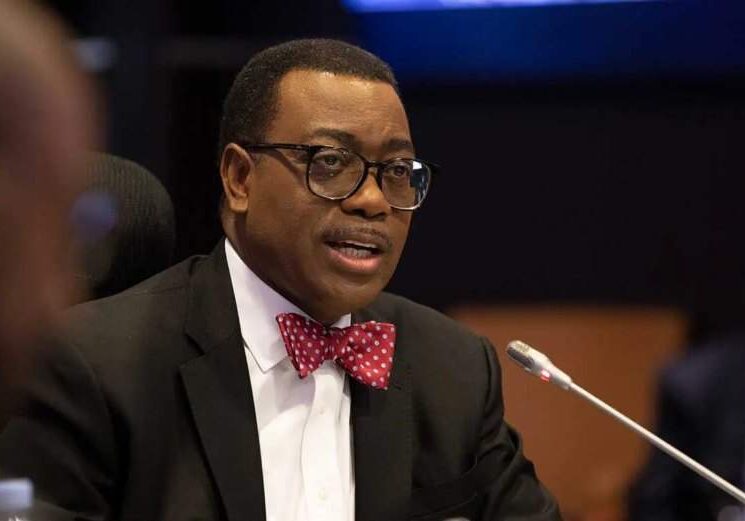 African Development Bank Chief Slams Nigeria's Plan to Import Staple African Development Bank Chief Slams Nigeria's Plan to Import Staple