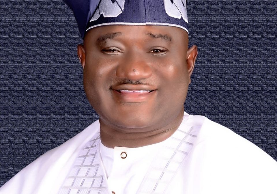 Benue: Agatu LG Chairman bans logging amid rising insecurity