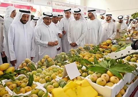 Saudi Arabia emerges leading Agric hub for mango production — Daily Nigerian