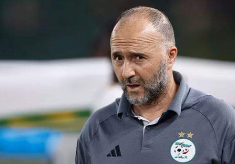 Algeria sack coach after AFCON exit — Daily Nigerian