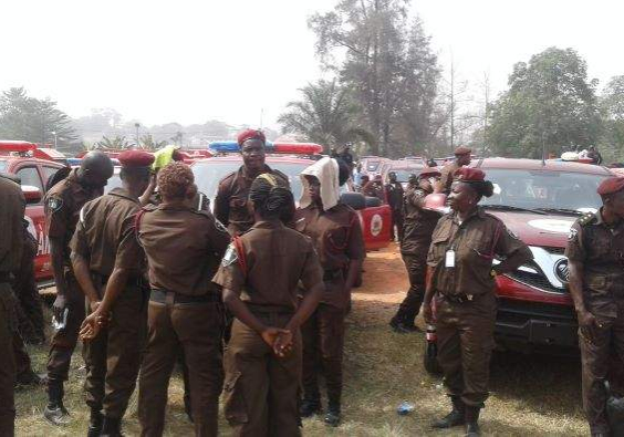 Amotekun arrests 29 suspects within one week — Daily Nigerian Amotekun arrests 29 suspects within one week — Daily Nigerian