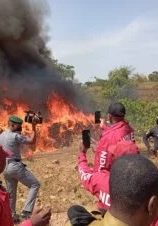 We’ll eradicate drug abuse, trafficking — NDLEA — Daily Nigerian