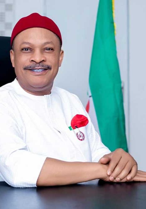 Anyanwu resumes as PDP National Secretary amid crisis