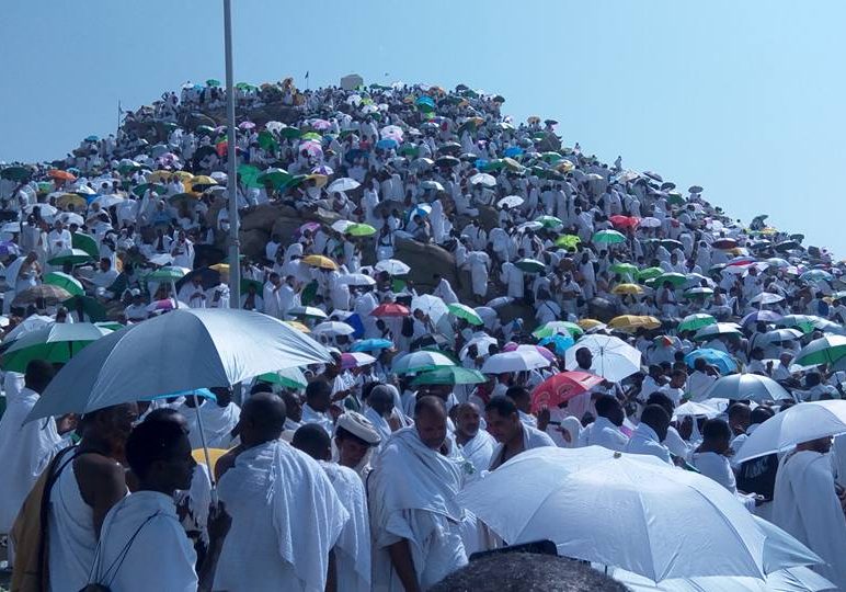 Pilgrims converge on Mount Arafat for day-long worship — Daily Nigerian