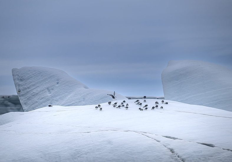 Arctic Ice Melt Accelerates, Intensifying Climate Disruption Arctic hit by record-breaking summer heat – researchers — RT World News