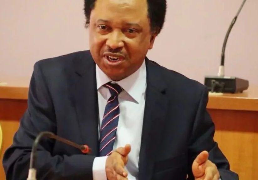 Atiku, El-Rufai, Amaechi, others frustrated over exclusion – Shehu Sani