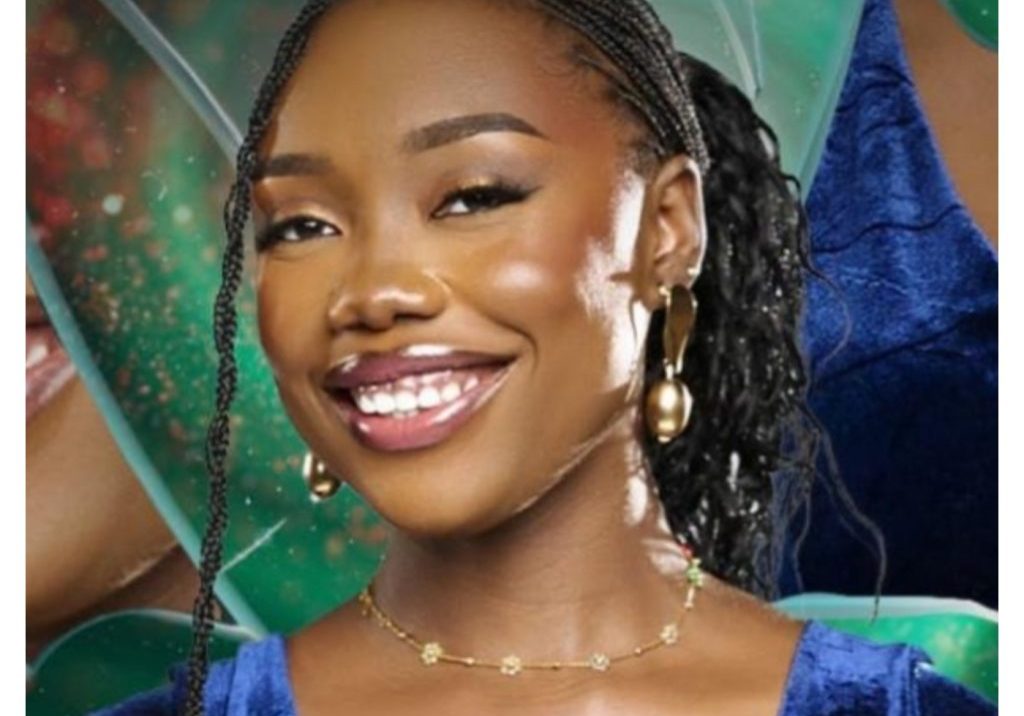 BBNaija’s Ibifubara Slams Unseen Screen Time, Calls for Fair Visibility BBNaija 10: 'I brought a lot of fun but it wasn't aired' - Ibifubara laments low screen time