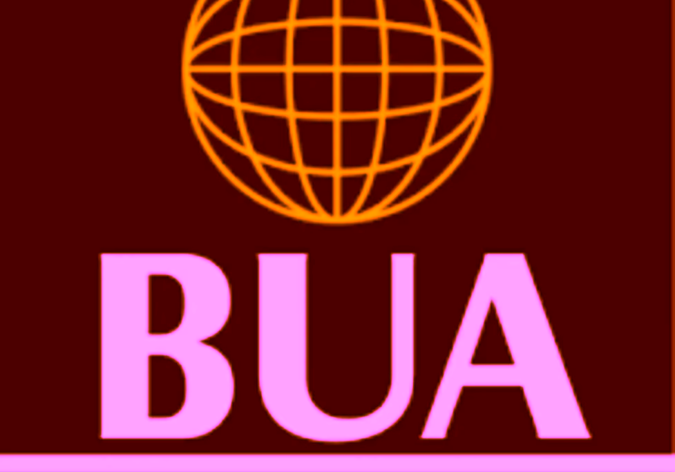 BUA Cement PLC releases unaudited financial results for the 3-month period ended 31st March 2025; records strong revenue growth of 80.5% to N290.9 billion; profit before tax increases by 368.6% to N99.7 billion, with profit after tax increasing by 351.4% to N81.1 billion